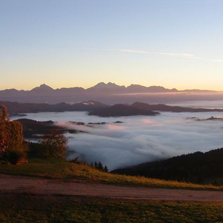 Poljane nad Škofjo Loko Gostisce In Penzion Stari Vrh المظهر الخارجي الصورة