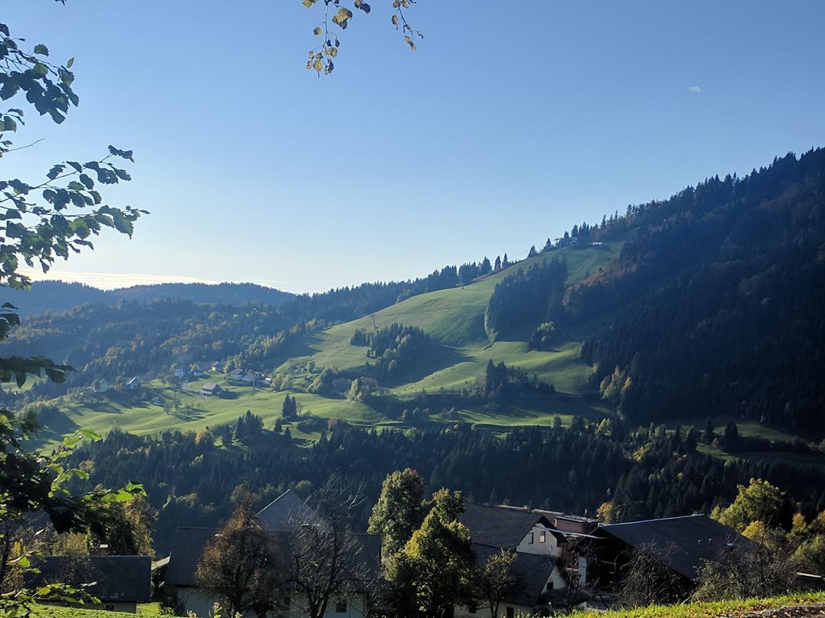 Poljane nad Škofjo Loko Gostisce In Penzion Stari Vrh المظهر الخارجي الصورة